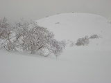 s-DSC03564.jpg