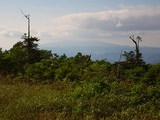 s-DSC06028.jpg