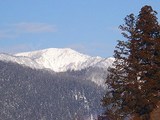 s-DSC07462.jpg